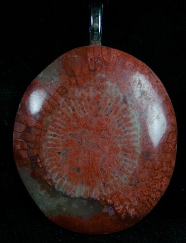 Fossil Red Horn Coral Pendant - Utah #7110